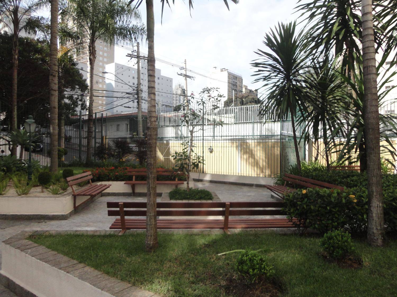 Apartamento em Cambuí, Campinas - Foto 51