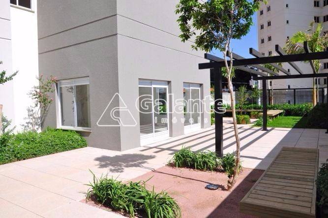Apartamento em Cambuí, Campinas - Foto 9