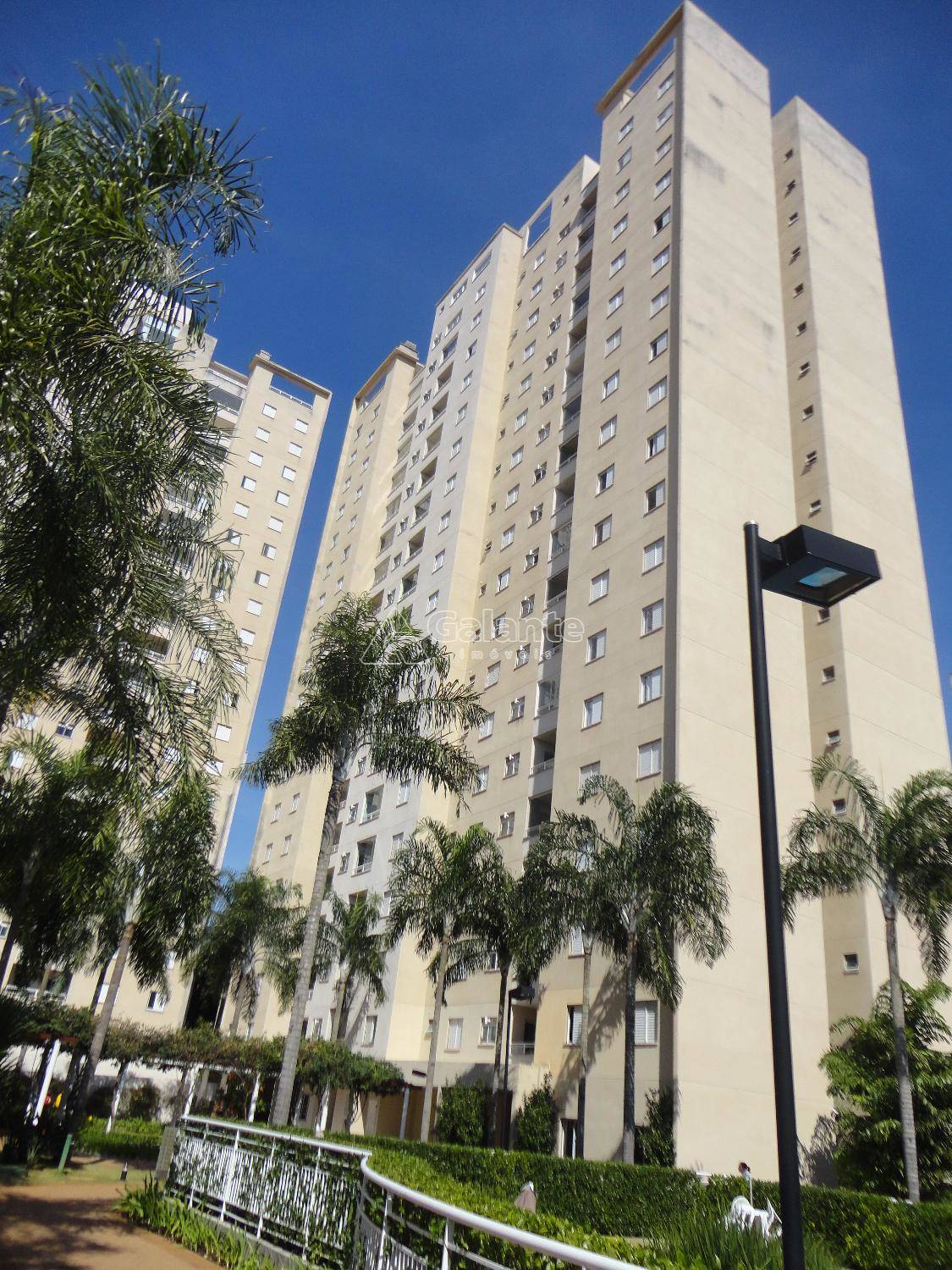 Apartamento em Mansões Santo Antônio, Campinas - Apartamento - Mansões Santo Antônio - Foto 1