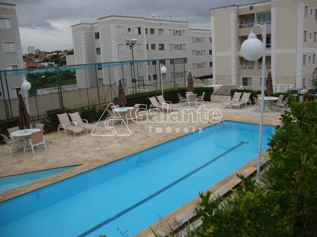 Apartamento em Jardim Nova Europa, Campinas - Apartamento - Jardim Nova Europa - Foto 1