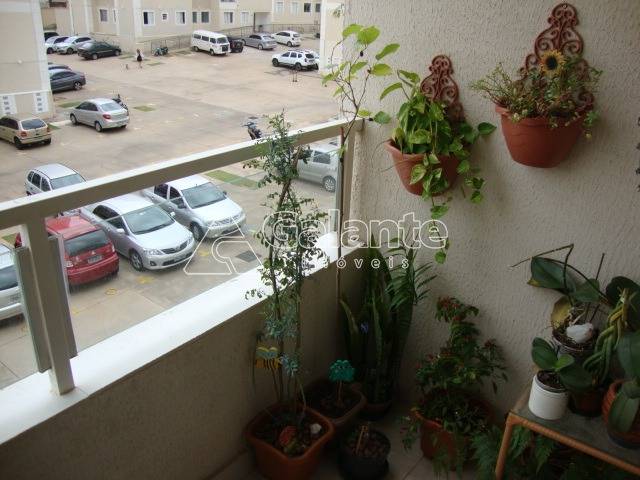 Apartamento em Jardim Nova Europa, Campinas - Foto 5