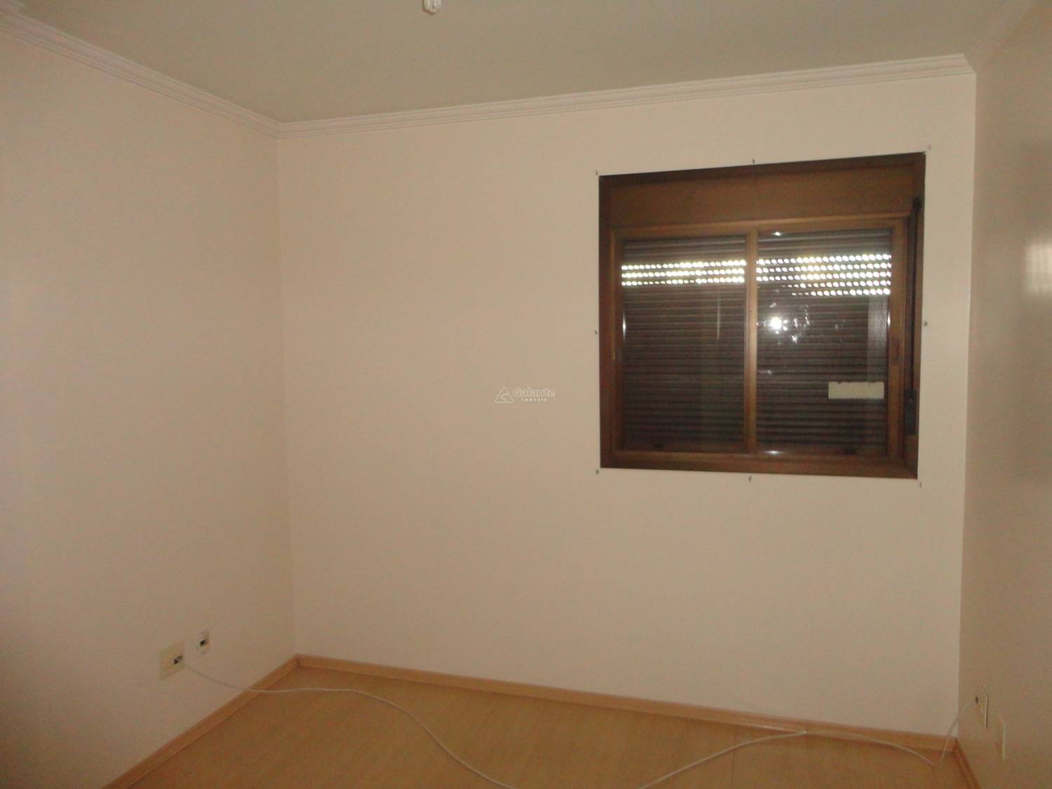 Apartamento em Cambuí, Campinas - Apartamento - Cambuí - Foto 2