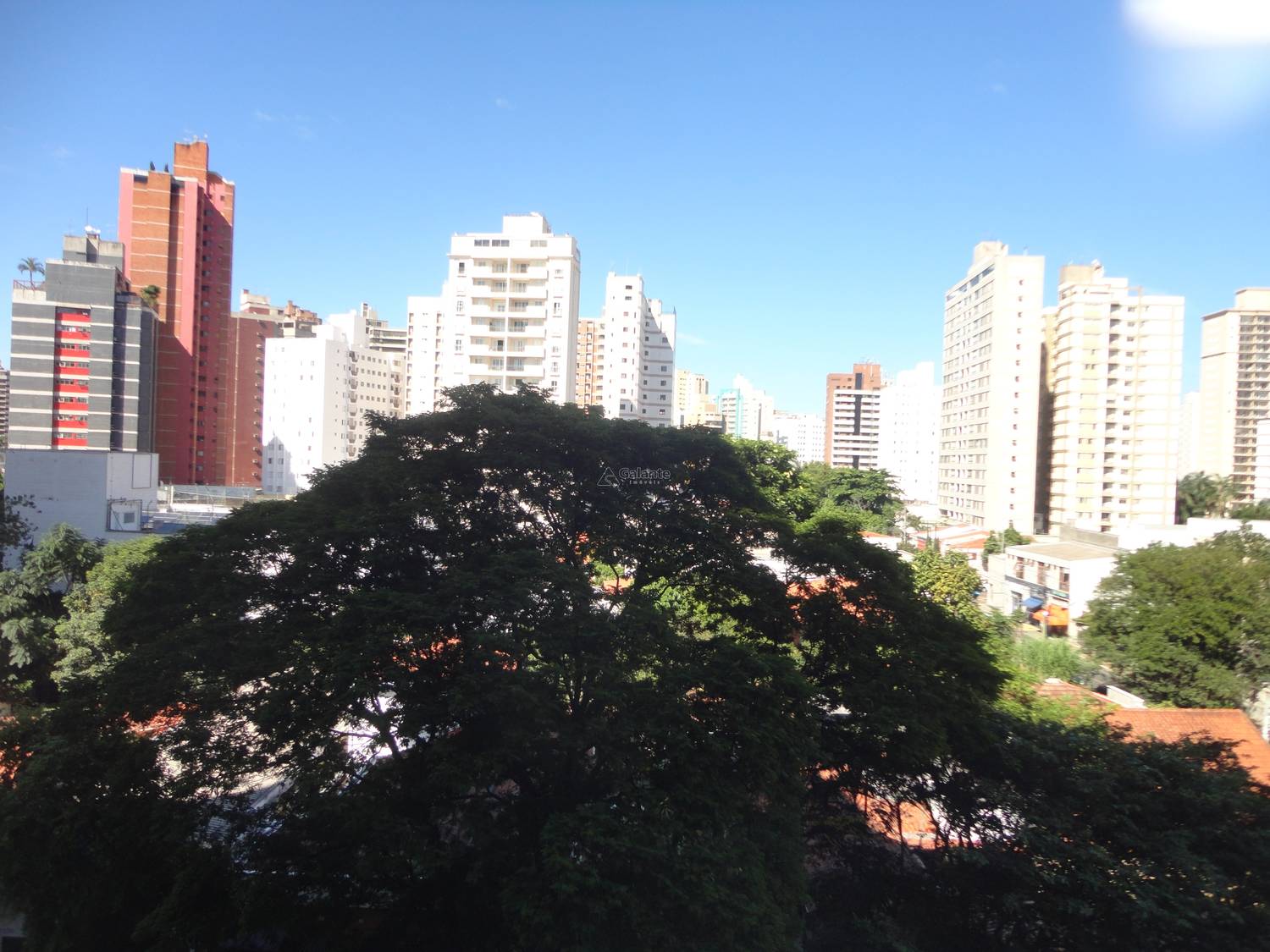 Apartamento em Cambuí, Campinas - Foto 16