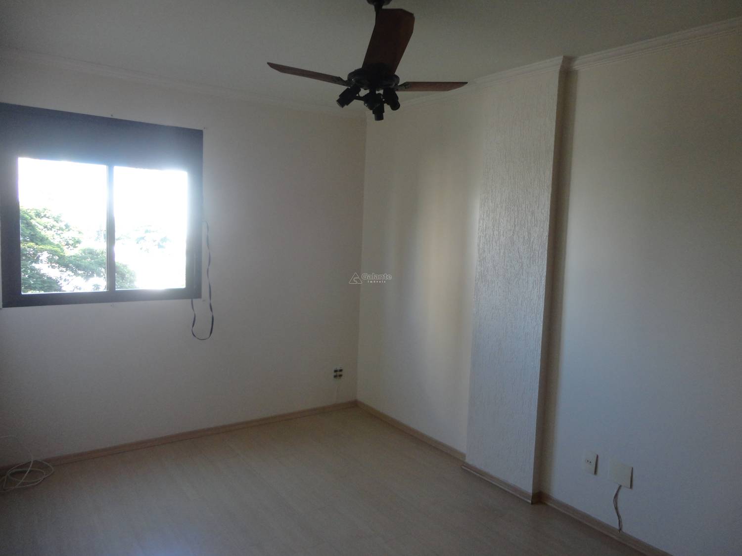 Apartamento em Cambuí, Campinas - Foto 14