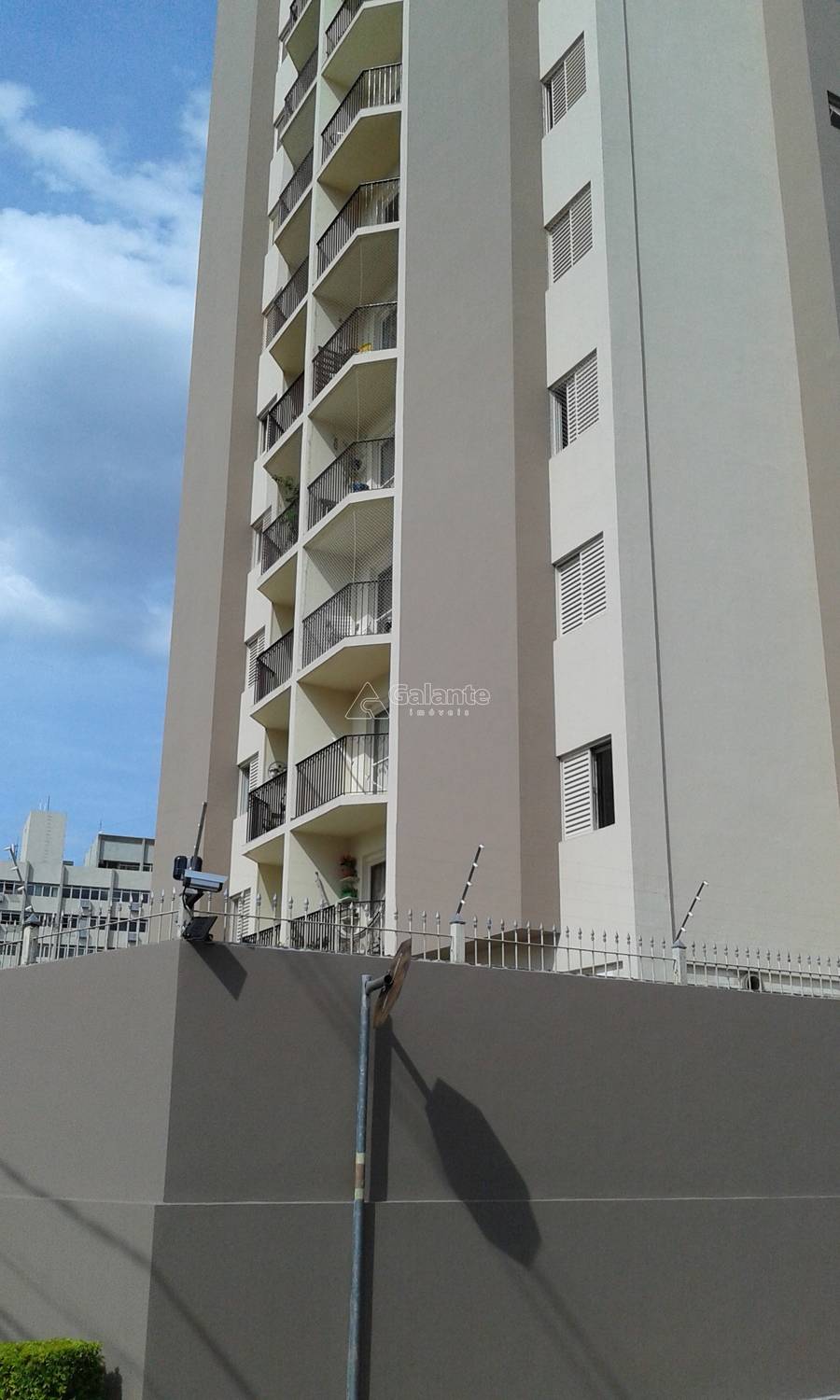 Apartamento em Bosque, Campinas - Apartamento - Bosque - Foto 1