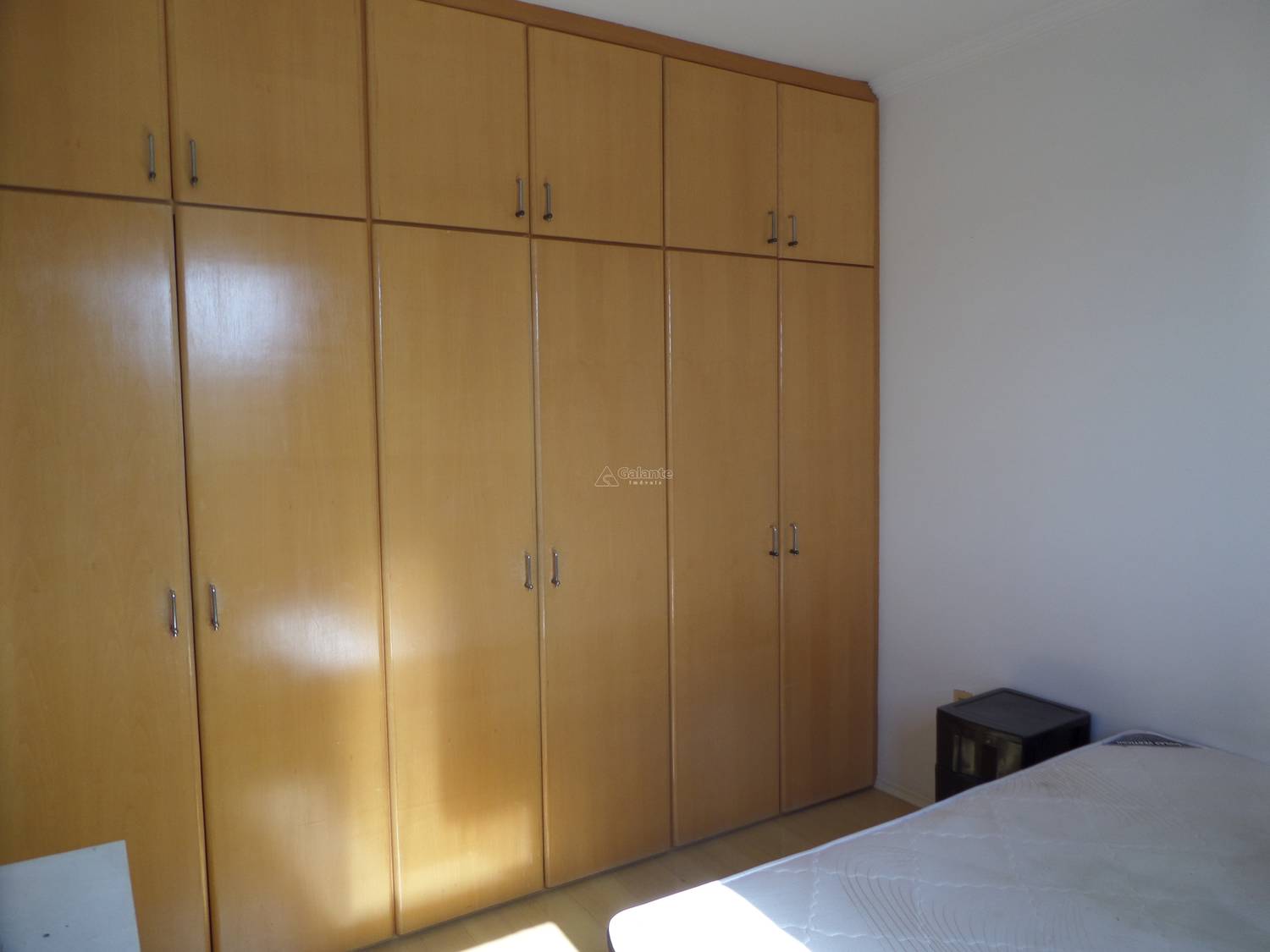 Apartamento em Jardim Guanabara, Campinas - Apartamento - Jardim Guanabara - Foto 4