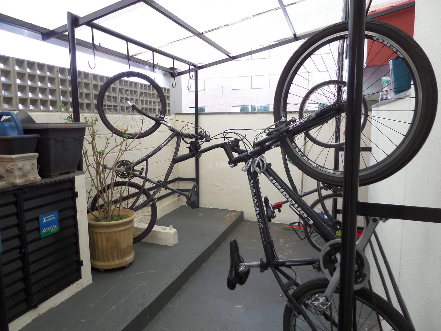 Apartamento em Jardim Guanabara, Campinas - Apartamento - Jardim Guanabara - Foto 5