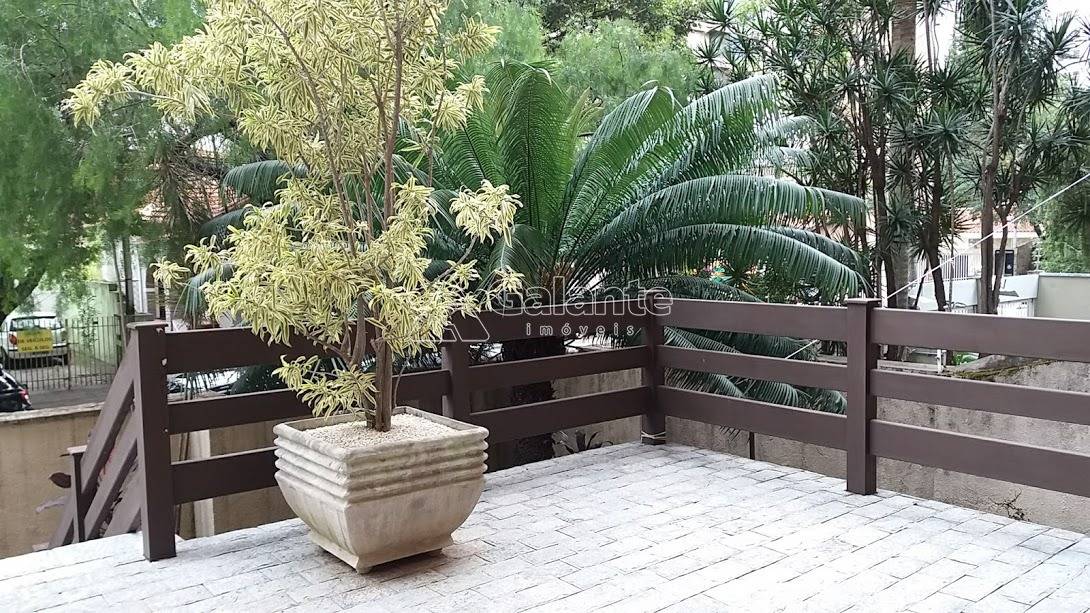 Apartamento em Cambuí, Campinas - Apartamento - Cambuí - Foto 8